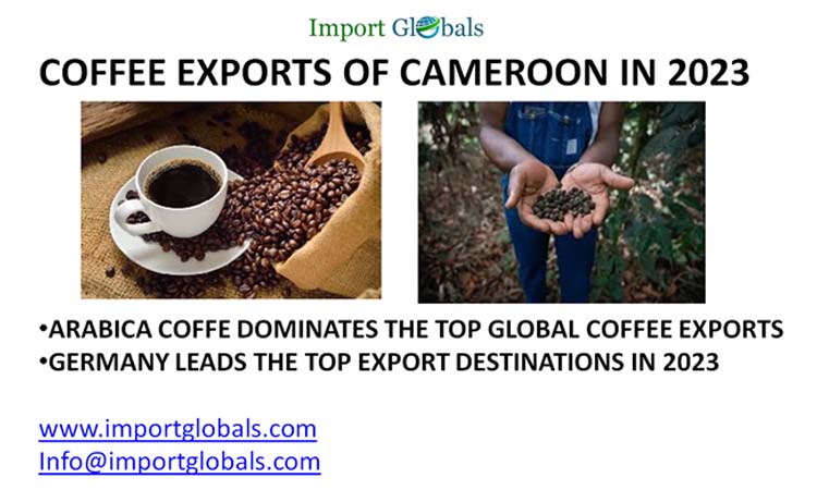 The Sudden Stride in the Coffee Exports of Cameroon in 2023