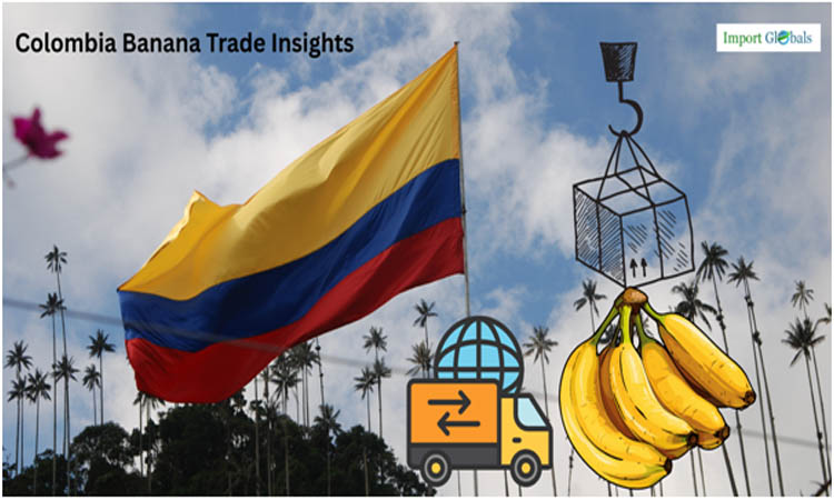 Exploring Trade Opportunities for Colombian Bananas in the EU
