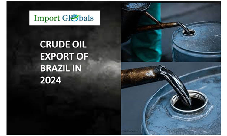 Crude Oil Takes the Lead in Brazil: A Comprehensive Analysis of the Regulatory Shipments in Exports of 2024
