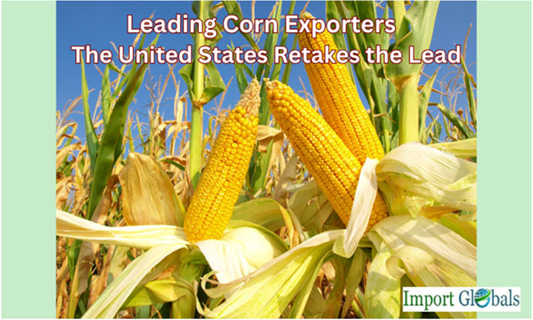 Leading Corn Exporters in 2024–2025: The United States Retakes the Lead