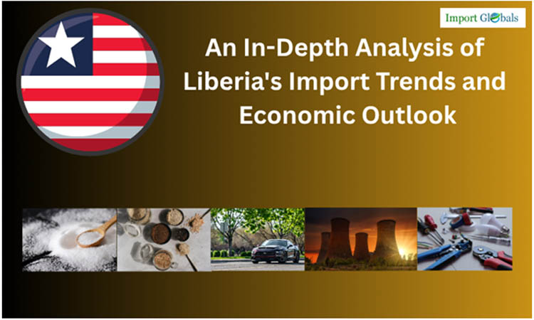 An in-depth Analysis of Liberia's Import Trends and Economic Outlook